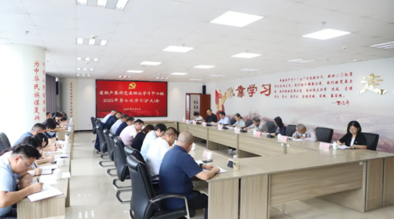集團(tuán)黨委召開理論學(xué)習(xí)中心組2025年第七次學(xué)習(xí)（擴大）會