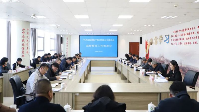 集團(tuán)黨委召開(kāi)巡察整改工作推進(jìn)會(huì)