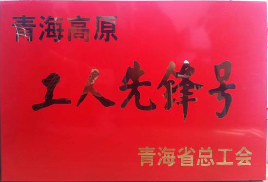 祝賀特鋁合金公司鑄造車間獲得青海高原&ldquo;工人先鋒號(hào)&rdquo;榮譽(yù)稱號(hào)