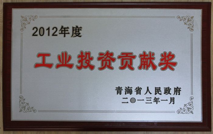 集團(tuán)榮獲2012年度青海省人民政府&ldquo;工業(yè)投資貢獻(xiàn)獎(jiǎng)&rdquo;